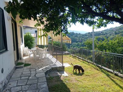 ea_20250726_090552_713211574