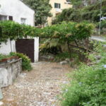 P1150265